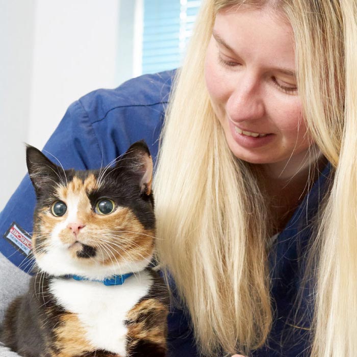 NonProfit Marketing Agency Sustainability Marketing Agency UP